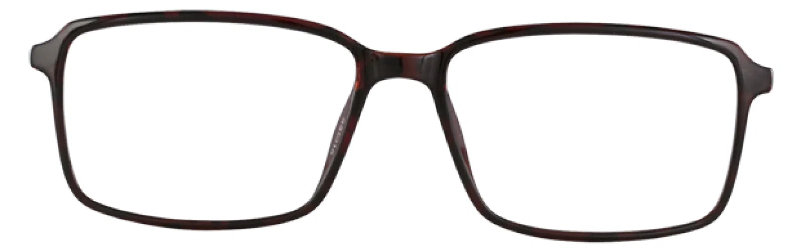 Stetson S336 Eyeglasses - Dark Tortoise - view 3